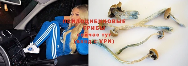 амф Гвардейск