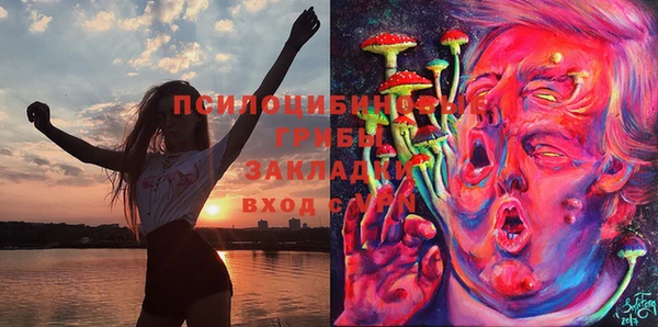 альфа пвп Покачи