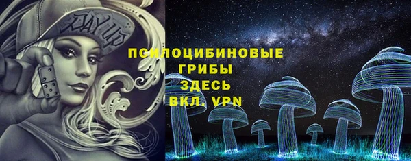 PSILOCYBIN Пестово