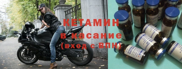 прущие грибы Галич